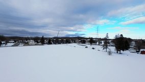 Cinematic FPV drone flyover above a snowy winter field with a single tree, power lines and distant houses. Smooth motion, atmospheric cold tones and wide minimalistic composition. - Powered by Shutterstock - Get 15% off with code: PIKWIZARD15