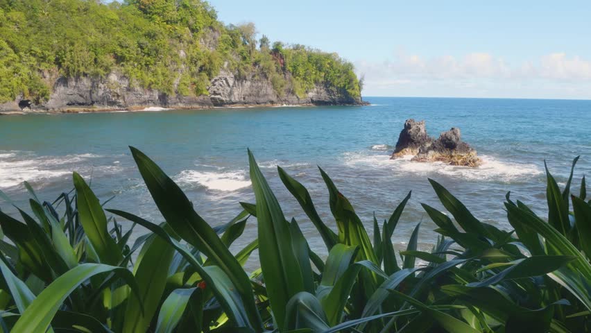 Footage captures the serene beauty of Onomea Bay within the Hawaii Tropical Botanical Garden, showcasing lush coastal vegetation, the iconic Twin Rocks formation, and the vibrant blue Pacific Ocean.