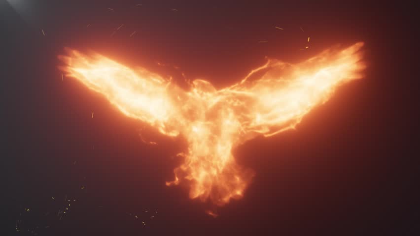 phoenix fire bird animation. Logo Intro Animation Flame