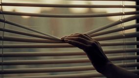 Hand Peeking Through Window Blinds. Woman Opening Venetian Blinds. Looking Outside At Sunset Or Sunrise, Privacy And Curiosity Domestic Life And Home Interior. Sunlight Filtering Through Slats Blinds  - Powered by Shutterstock - Get 15% off with code: PIKWIZARD15