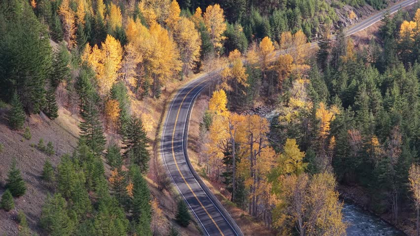 Aerial View of a Winding Autumn Road Through Vibrant Forest and River in British Columbia, Canada