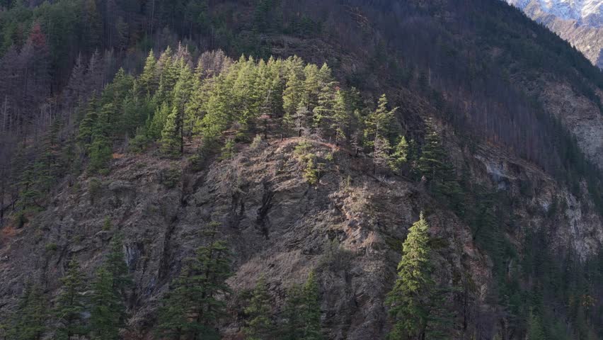 Majestic Evergreen Forests Adorn Steep Mountain Slopes in Beautiful British Columbia, Canada