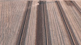 Tractor driving up a plowed furrow across a geometric field pattern in the Po Valley, close to San Pietro in Cerro, Piacenza, Emilia-Romagna, Italy highlighting machinery and field structure. - Powered by Shutterstock - Get 15% off with code: PIKWIZARD15
