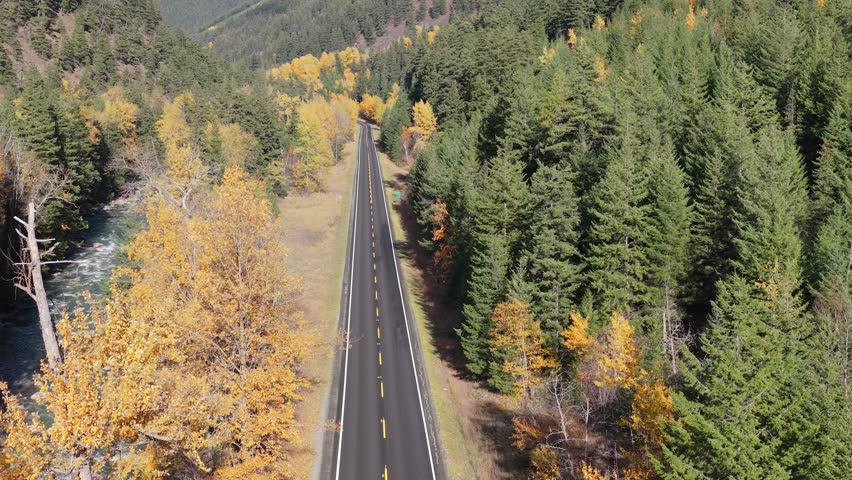 Aerial View of a Straight Road Through an Autumn Forest in British Columbia, Canada