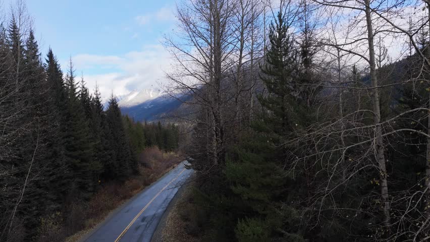 Aerial View of a Winding Road Through Majestic Forested Mountains in British Columbia, Canada