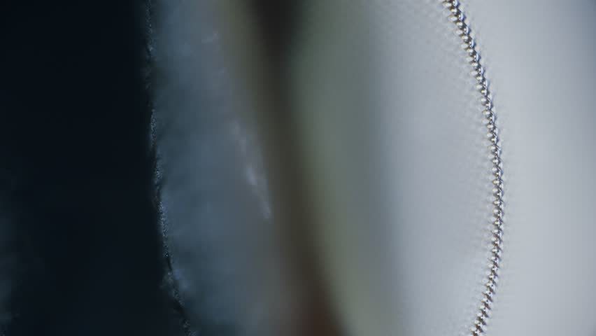 Fly compound eye under microscope