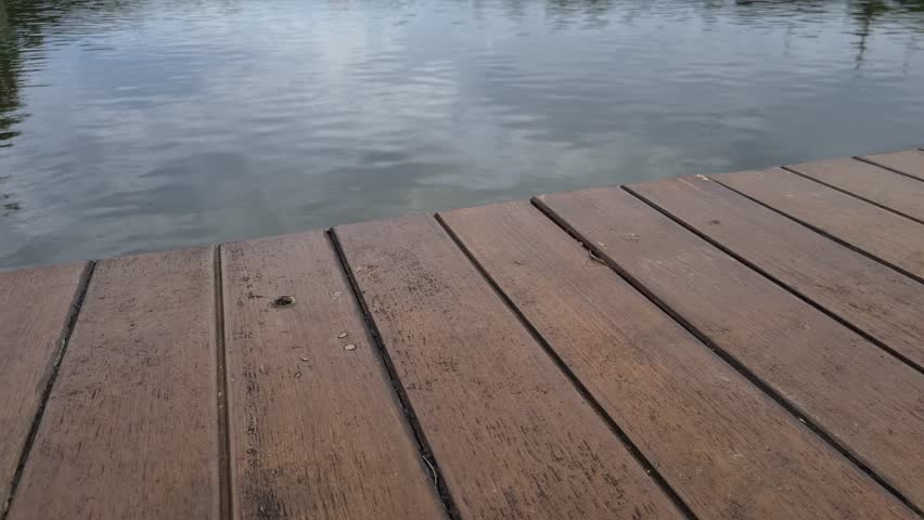 Pier with calm lake water, wooden dock platform built in garden area by lakeside creating peaceful recreational and nature atmosphere.