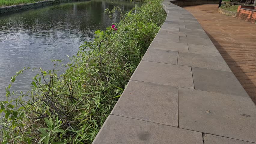 Pedestrian Walkway with Green Plants and Stone Design Near Lake
