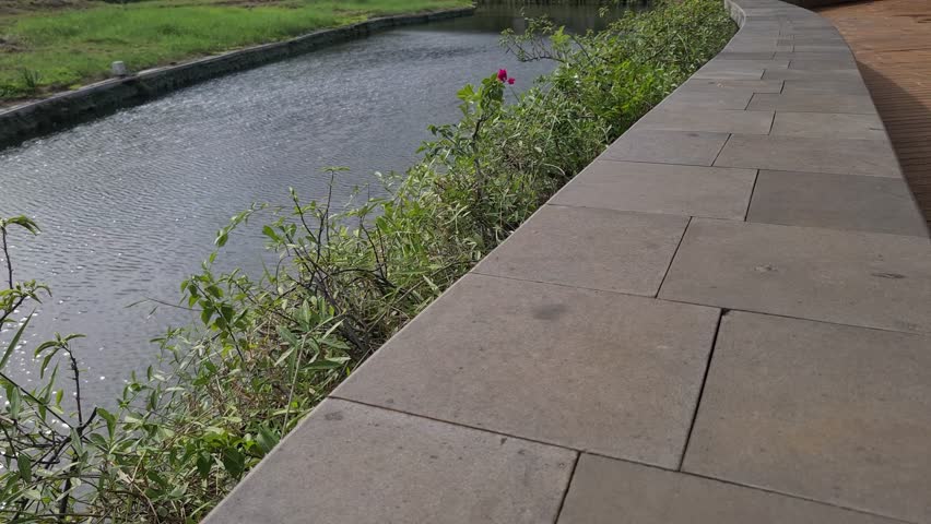 Pedestrian Walkway with Green Plants and Stone Design Near Lake