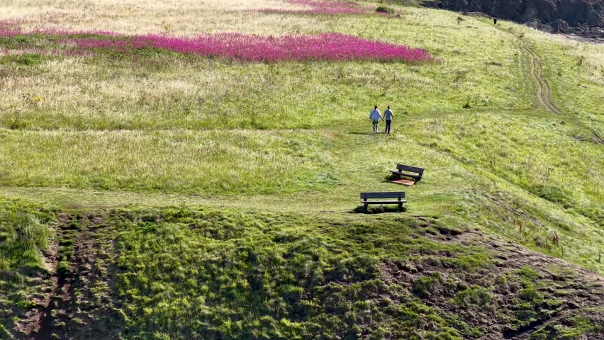 Two people walk on grassy path through wildflower meadow, bright daylight, wide aerial perspective