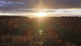 Drone ascends over a forested mountain valley into a centered sunrise. Clean sunburst, soft golden light, and dramatic clouds create a cinematic and atmospheric morning landscape. - Powered by Shutterstock - Get 15% off with code: PIKWIZARD15