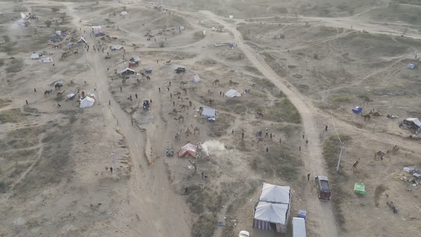 Top-down aerial shot of camels and colorful tents at the Pushkar cattle fair ground during sunrise, with warm golden light illuminating the desert landscape and festival atmosphere of Rajasthan, India