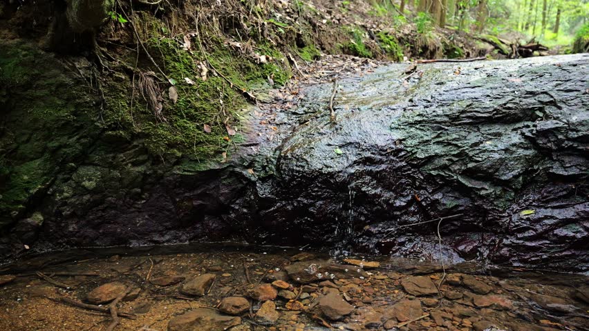 A small stream in the forest, healing, mental care	