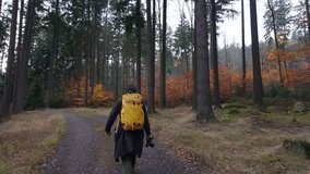 A man in a long coat walks through a deciduous forest in autumn. The beautiful colors captivate in the tree-lined avenue. - Powered by Shutterstock - Get 15% off with code: PIKWIZARD15