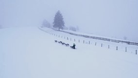 Drone shot of a musher and a pair of huskies dogs pulling a sled up a hill in dense fog, passing a wooden fence. - Powered by Shutterstock - Get 15% off with code: PIKWIZARD15