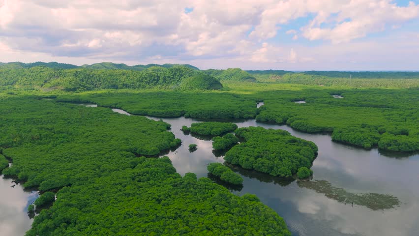 Aerial view of green mangrove forests and winding waterways, a boat navigates the river under a cloudy sky, Papua.