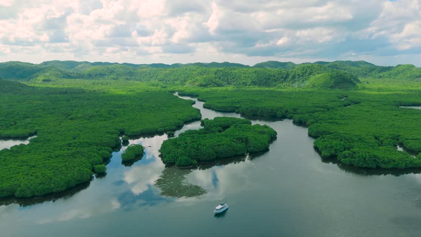 Aerial view of a winding river flowing through dense green mangrove forests and hills under a cloudy sky, with a small boat, in Papua New Guinea.