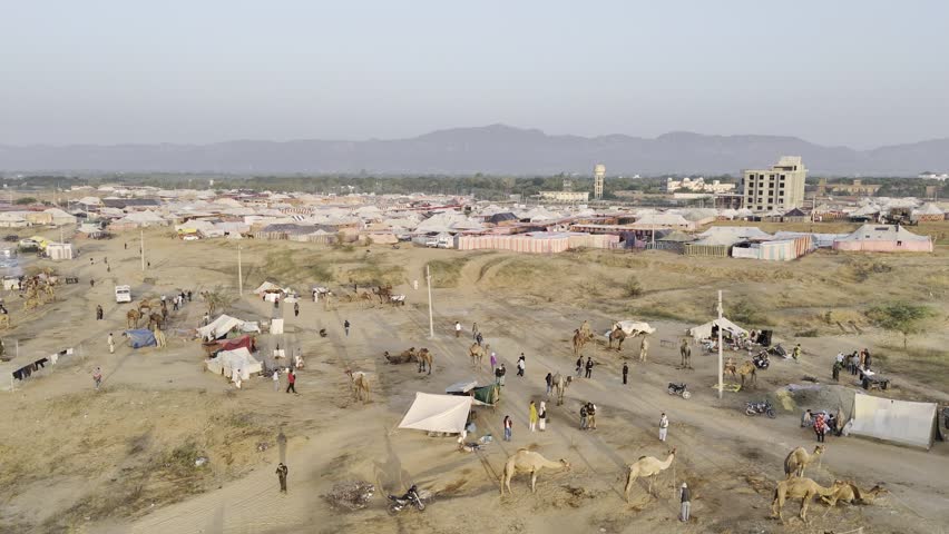 Aerial shot of camels and horse tents at Pushkar cattle fair ground, with Aravalli mountains in the background under soft morning light.
