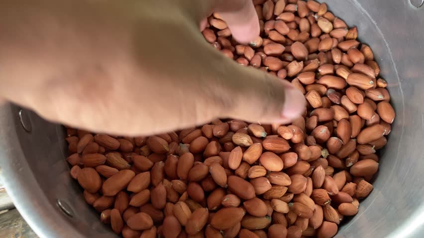 A close-up shot of a hand scooping peeled peanuts from a metal container, highlighting texture and freshness for food, ingredient, and culinary footage themes