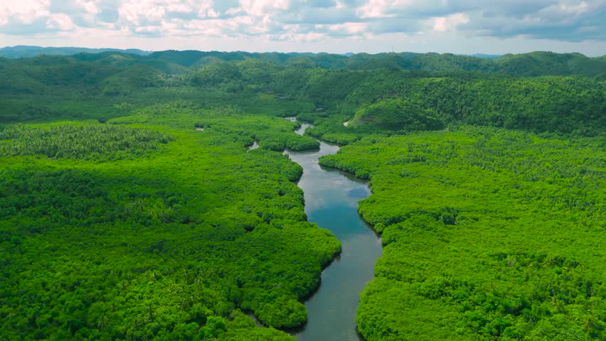 Aerial drone view of a winding river through a dense green forest, Anavilhanas archipelago, Negro River, Amazonas, Brazil.