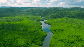 Aerial drone view of a winding river through a dense green forest, Anavilhanas archipelago, Negro River, Amazonas, Brazil. - Powered by Shutterstock - Get 15% off with code: PIKWIZARD15
