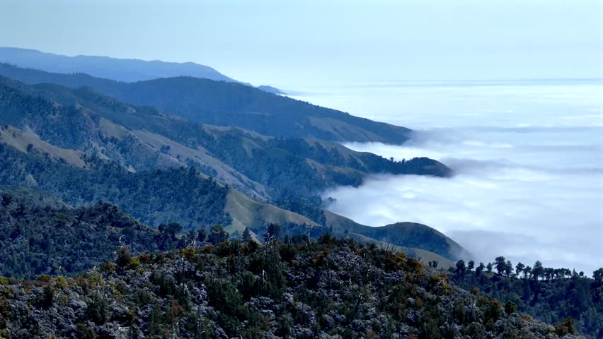 Aerial view of the Big Sur mountains meeting the fog, a breathtaking display of nature