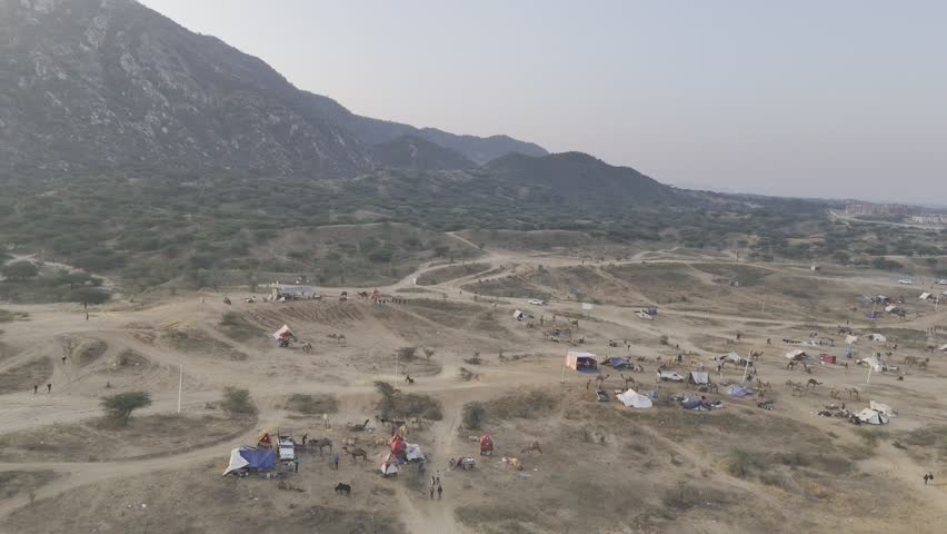 Shot of the Pushkar cattle fair ground showing camels and tents during the fair, with the Aravalli mountains in the background capturing the vibrant desert atmosphere.