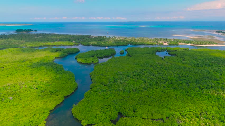 An aerial view of the Sundarbans Mangrove Forest, showcasing winding waterways through dense green foliage extending to the blue ocean and distant islands, India.