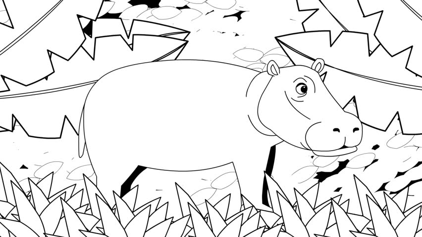 Animated video of a hippopotamus in black and white cartoon style, art, animal, 2D.