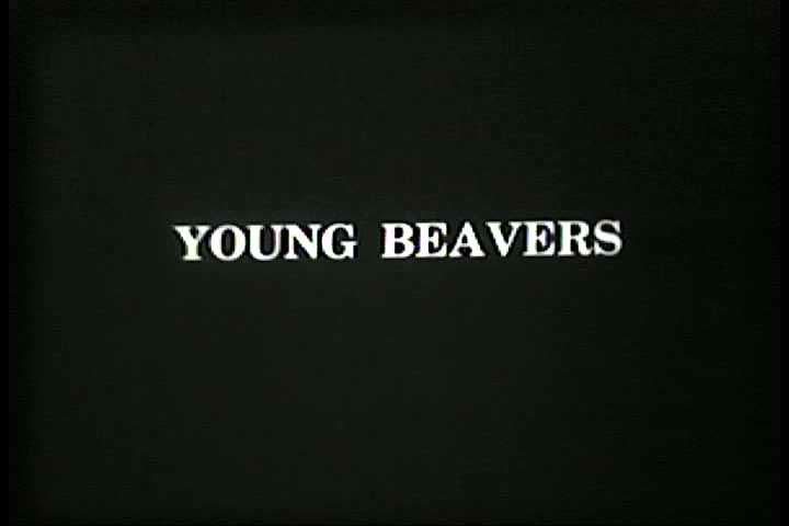 1930s - Young and baby beavers are seen in their natural environment