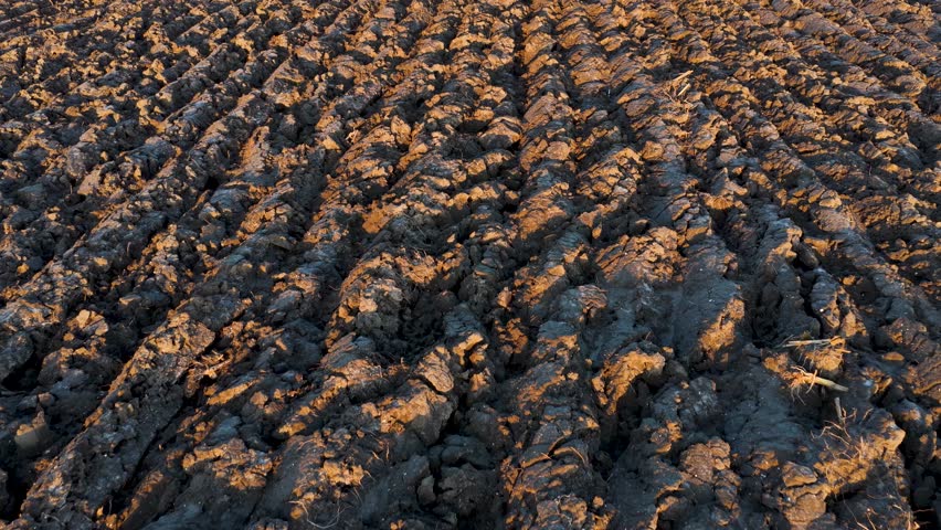 Plowed soil, arable land in the evening sun from above
