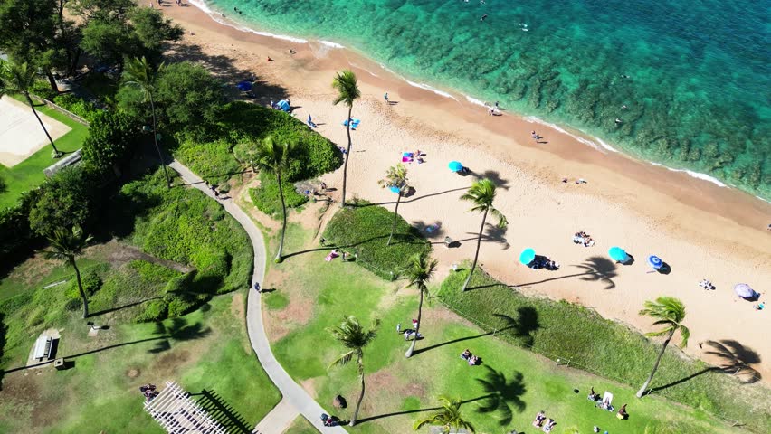Low aerial shows a lively beach with umbrellas and chairs beside palms and surf