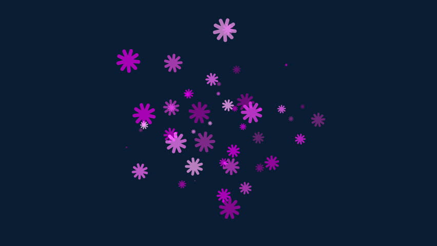 Vibrant purple flowers against a dark backdrop, showcasing a beautiful contrast