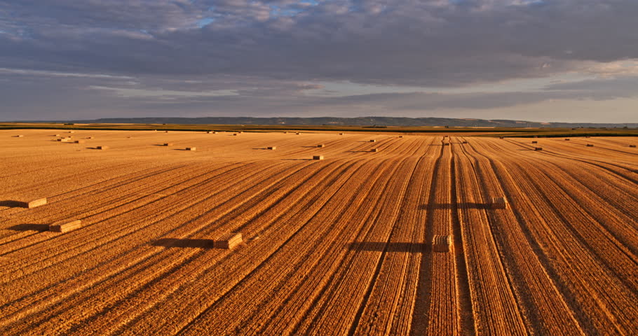 Agricultural fields with hay bales and crops under a warm sunset light
