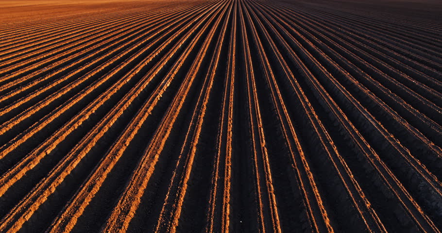 Aerial view of cultivated fields preparing for planting
