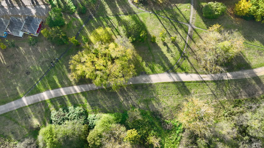 Aerial View of Park Trees and Walking Path with Autumn Colors in Gdańsk