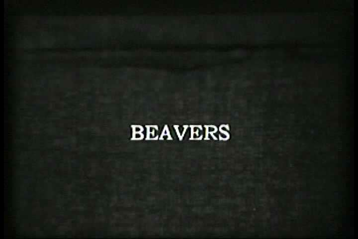 1930s - Beavers are shown building dams and eating. Examples of their work (felled trees and canals) are also shown.