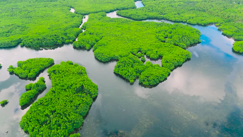 Aerial green wetlands with winding waterways and numerous small islands, Everglades, Florida, USA.