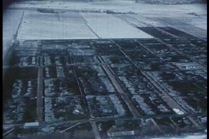 1960s - Feedlots where cattle are finished off are shown.