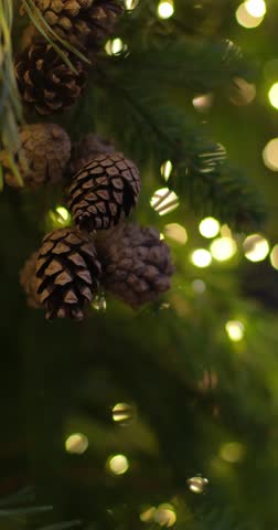 Vertical video of Christmas festive background with pine cones, branches of fir and golden string lights