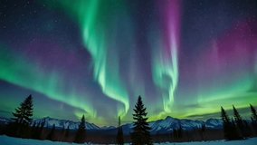 This stunning image showcases the dazzling Aurora Borealis Northern Lights, with neon green and reddish purple curtains of light dancing across the dark night sky. - Powered by Shutterstock - Get 15% off with code: PIKWIZARD15