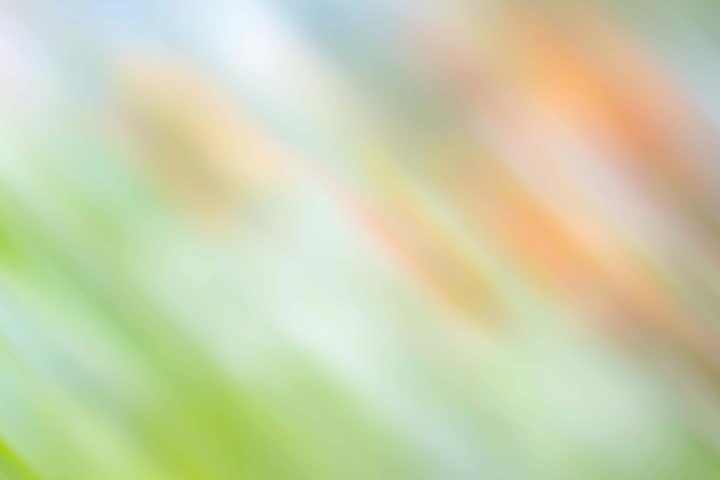 Abstract colorful pastel with gradient multicolor toned textured background, ideas graphic design for web design or banner