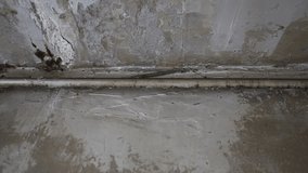 The inside of an old, abandoned, dilapidated building. Peeling walls and ceiling. - Powered by Shutterstock - Get 15% off with code: PIKWIZARD15