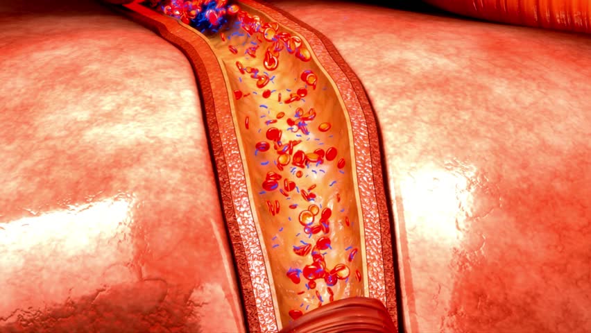 Detailed Visualization of Blood Cells Flowing Inside Artery
