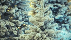 Frosty artificial trees create a winter wonderland atmosphere, illuminated by soft lights. This enchanting display adds warmth and joy to the holiday season in a festive setting - Powered by Shutterstock - Get 15% off with code: PIKWIZARD15