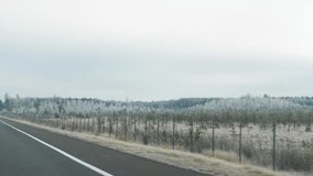 Icy roadway scene. Winter landscape with icy modern highway. Serene winter countryside with frost covered barrier fences. Icy road extending through snow covered fields and distant pine trees - Powered by Shutterstock - Get 15% off with code: PIKWIZARD15
