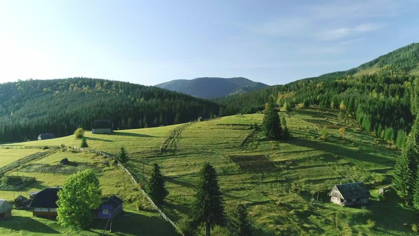 Forest cover valley, nice landscape with blue sky, forest covers valley creating nice landscape under blue sky. serene natural scenery ideal for exploration and harmony themes