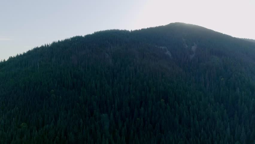 Bright sun appear from behind green hill, bright sun emerges behind green hill spreading golden morning light. serene landscape symbolizing hope and new beginnings