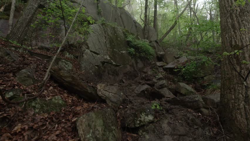 Scenic view of North Carolina forest and rock outcroppings