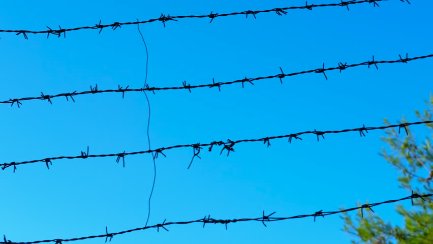 Barbed wire fence against clear blue sky. Rows of sharp barbed wire silhouetted against a bright, clear blue sky, creating a conceptual background of boundaries, confinement, and security